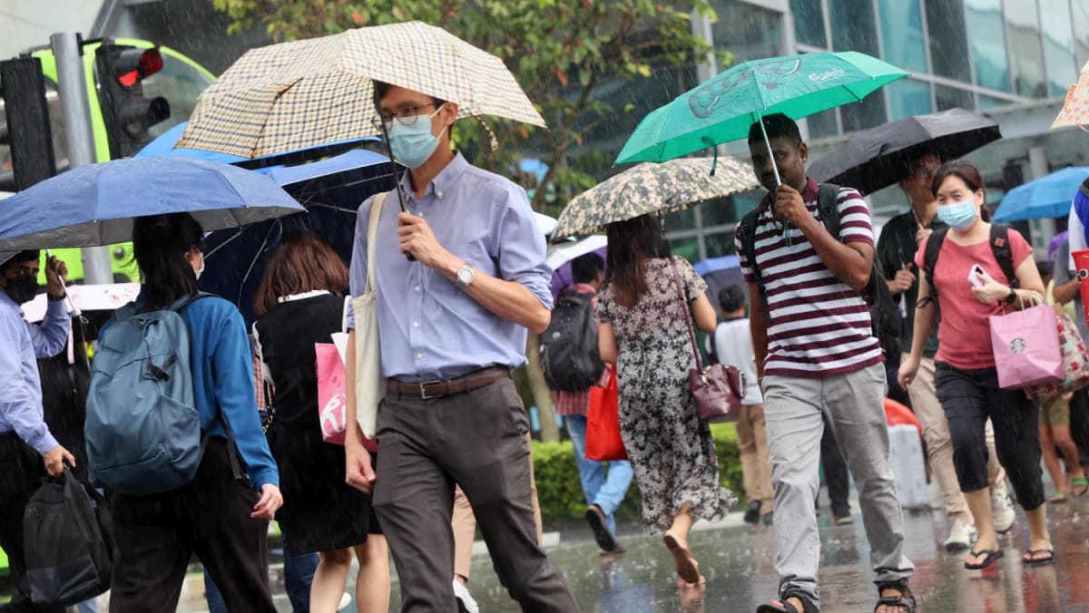 More showers expected for rest of October, bringing respite from warm weather: Met Service