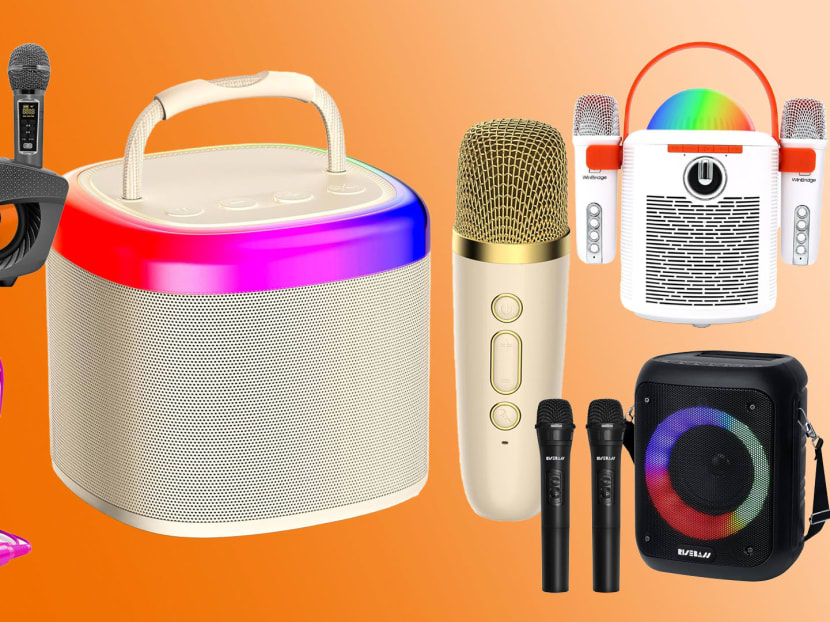 Portable karaoke sets from S$40 for your next home gathering