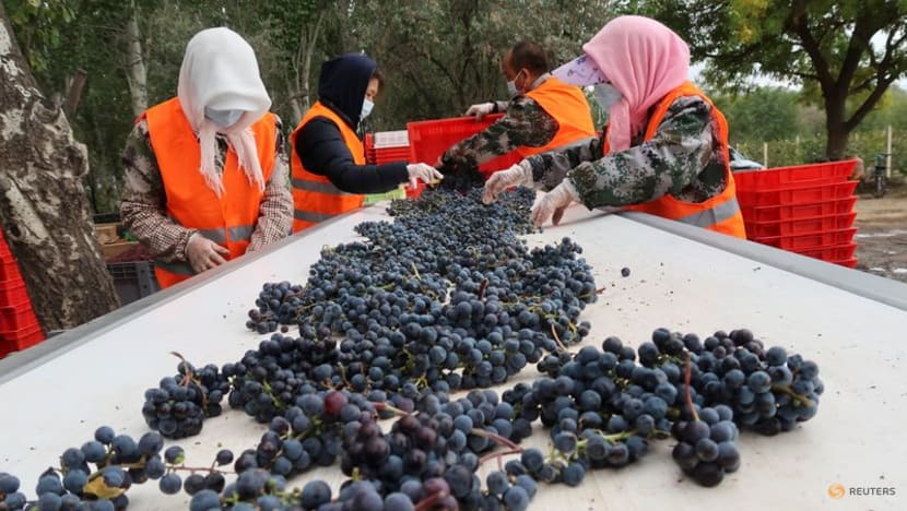 Red China: Up-and-coming wineries gain recognition Red China: Up-and-coming wineries gain recognition