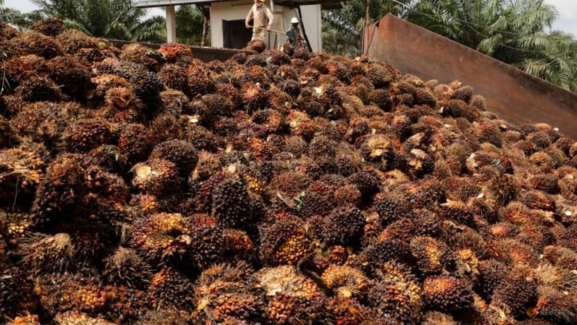 Malaysia's April palm oil exports fell 17.1 pct -SGS