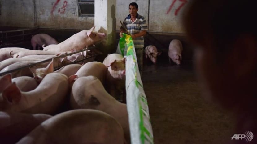 Pork prices remain stable in Singapore amid swine fever outbreak in China Pork prices remain stable in Singapore amid swine fever outbreak in China