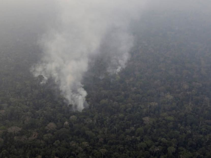 Brazil’s National Institute for Space Research said earlier this week that its satellite data recorded over 76,000 wildfires this year all over Brazil, the highest since the agency started keeping records in 2013.
