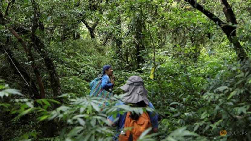 Look beyond forests for cost-effective nature restoration, governments urged Look beyond forests for cost-effective nature restoration, governments urged