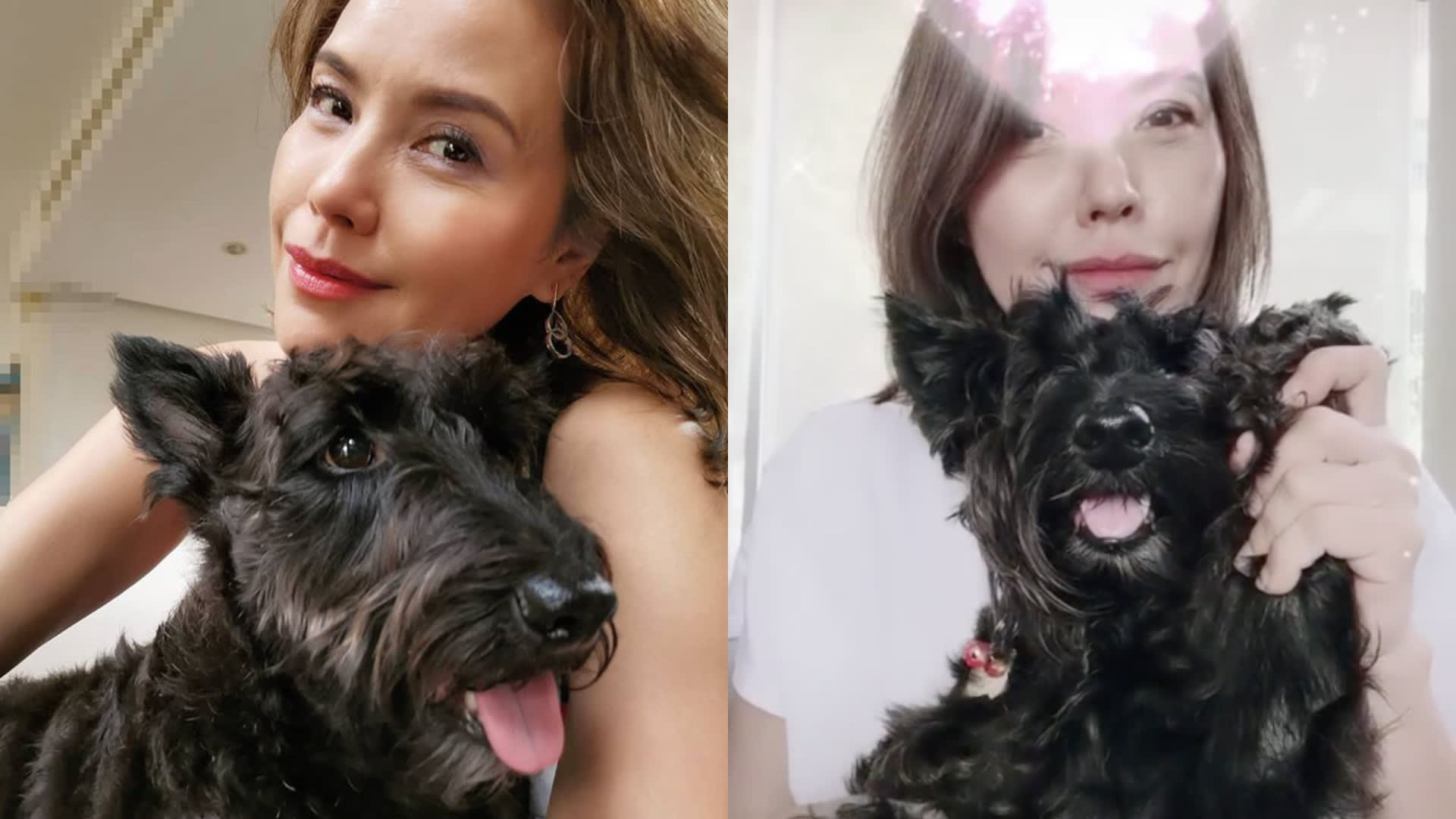 Zoe Tay’s TikTok Videos With Her Dog Is All You Need To Get Through A Ruff Week Zoe Tay’s TikTok Videos With Her Dog Is All You Need To Get Through A Ruff Week