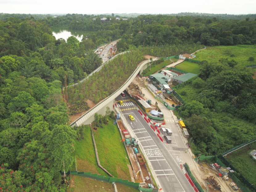 A 140m-long bridge covered in vegetation designed to allow animals to cross safely above Mandai Lake Road was opened on Friday (Dec 6).