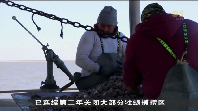 受气候变化引起极端天气影响 全球23%海洋经历热浪