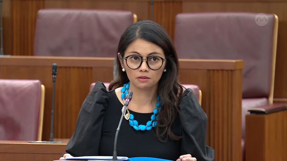 Committee of Supply 2025 debate, Day 2 Usha Chandradas on the use of