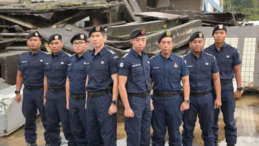 I remember the boy's faint pulse: SCDF officers recount rescues of Türkiye-Syria earthquake victims I remember the boy's faint pulse: SCDF officers recount rescues of Türkiye-Syria earthquake victims