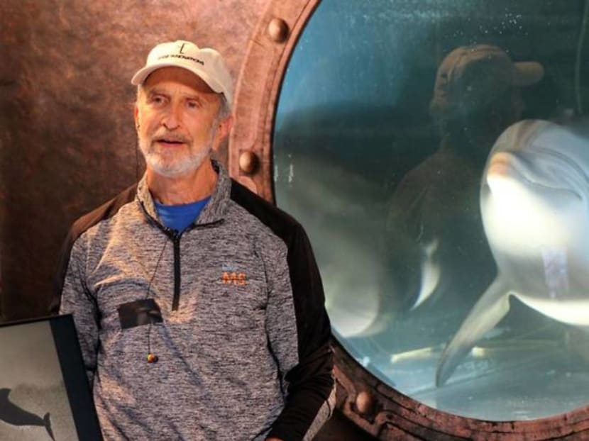 The robot dolphin that could replace captive animals at theme parks one day The robot dolphin that could replace captive animals at theme parks one day