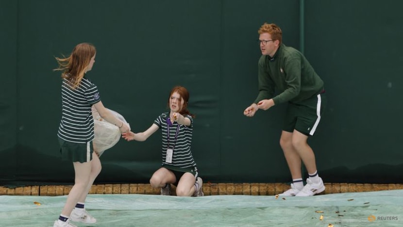 Just Stop Oil protesters briefly halt play on third day of Wimbledon