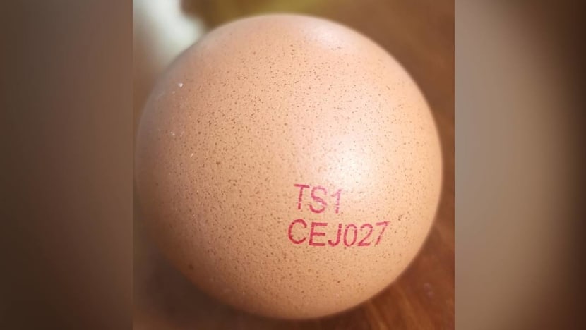 SFA orders recall of eggs from Malaysian farm due to presence of Salmonella bacteria SFA orders recall of eggs from Malaysian farm due to presence of Salmonella bacteria