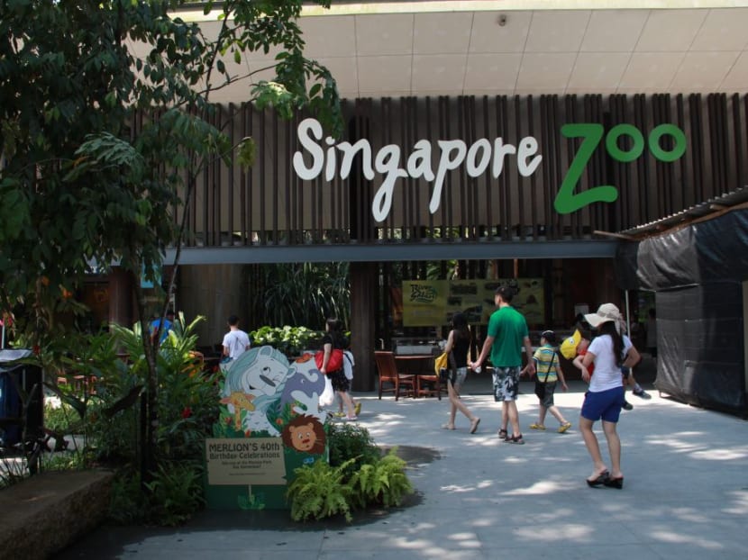 The Singapore Zoo said that it advocates for “sustainably produced palm oil”.