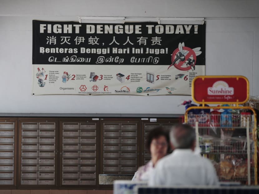 Signboards warning against dengue fever pictured at Yishun on Jan 29, 2016.  TODAY file photo