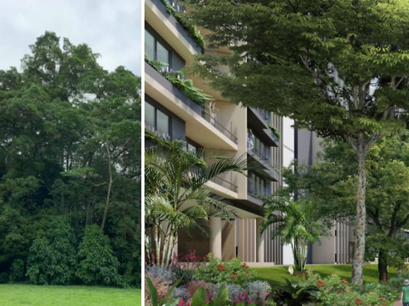 Commentary: Saving Dover Forest and the plight of the Singapore urban planner