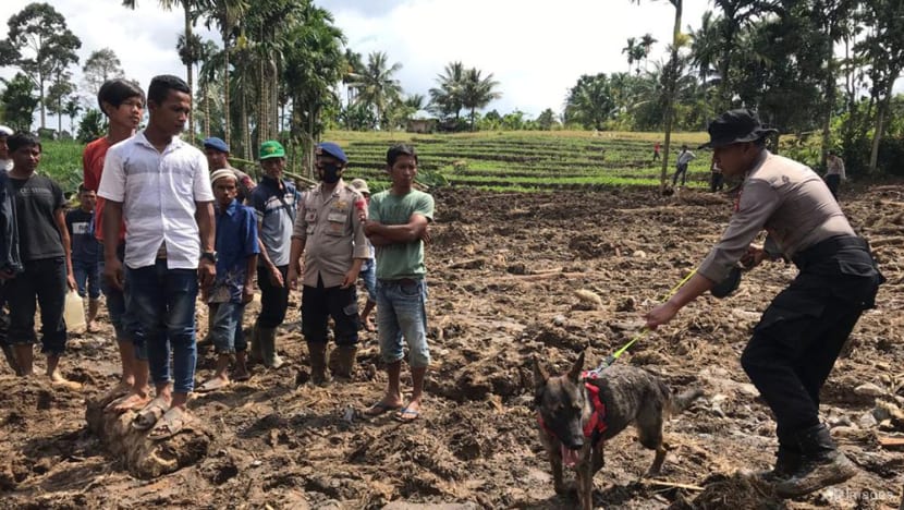 Death toll from Indonesia earthquake rises to 11 Death toll from Indonesia earthquake rises to 11