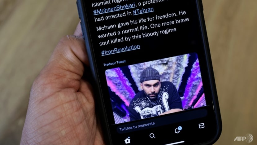 Iran triggers outrage with first hanging over protests Iran triggers outrage with first hanging over protests
