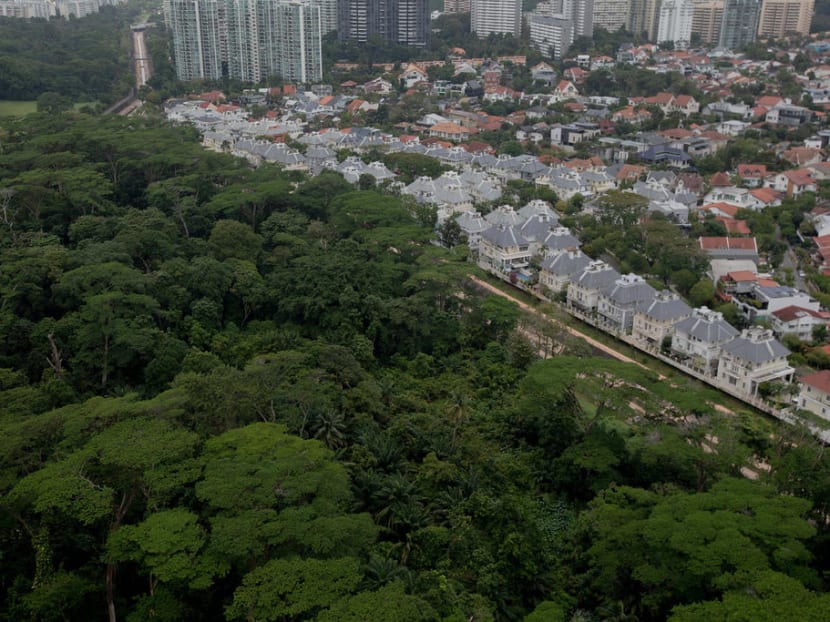 Public housing to be built on part of Dover Forest; rest to be kept as nature park for now: Desmond Lee Public housing to be built on part of Dover Forest; rest to be kept as nature park for now: Desmond Lee