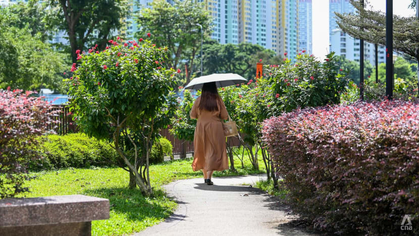 Temperature soars to 37°C in Singapore, equals record for daily high set in 1983