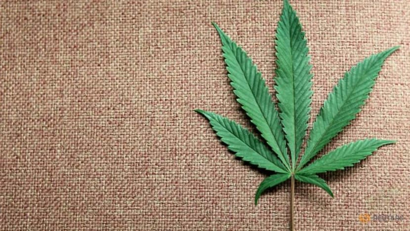 Jazz Pharma to buy GW Pharma for US$7.2 billion, adding cannabis-based drug to portfolio Jazz Pharma to buy GW Pharma for US$7.2 billion, adding cannabis-based drug to portfolio