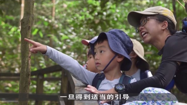 狮城有约 | 孩有这样的课：森林教育