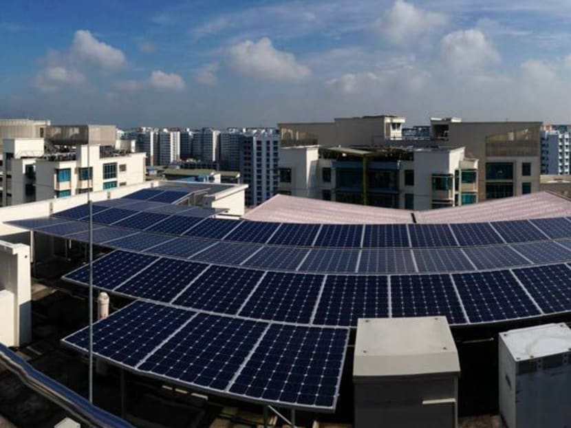 Solar panels. Photo: Housing and Development Board
