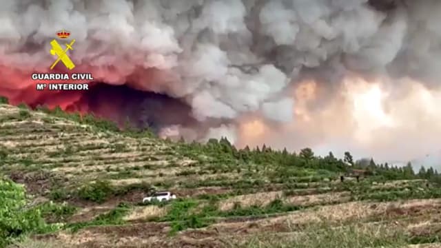 西班牙拉帕尔马岛发生林火 4000人疏散