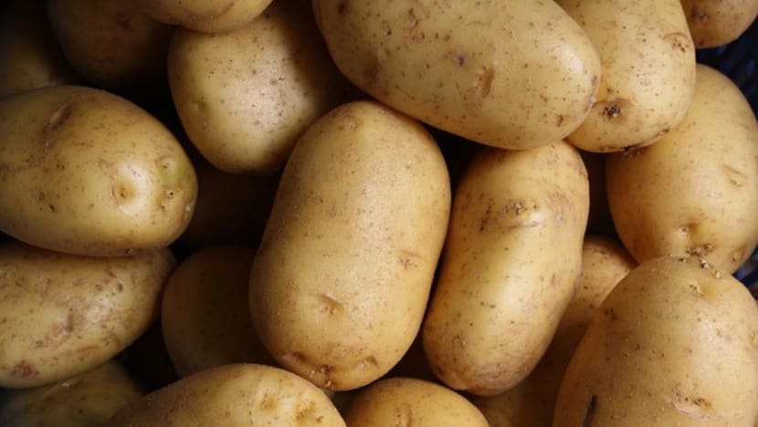 Ubi kentang hijau, bertunas berbahaya dimakan