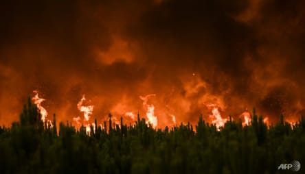 Climate change driving unprecedented forest fire loss