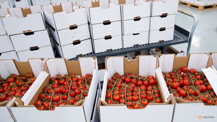 Shanghai food supplier's books reveal big profits under COVID lockdown Shanghai food supplier's books reveal big profits under COVID lockdown