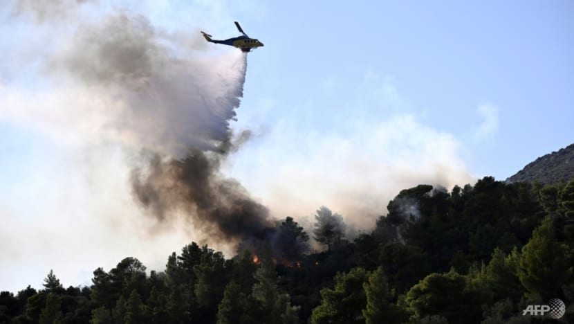 Greek firefighters battle major blazes on multiple fronts