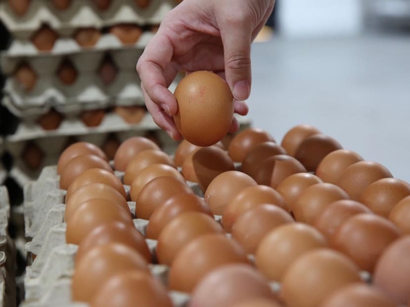 Local egg production currently contributes to about 30 per cent of Singapore's total egg consumption and complements efforts on import source diversification, said the Singapore Food Agency (SFA).