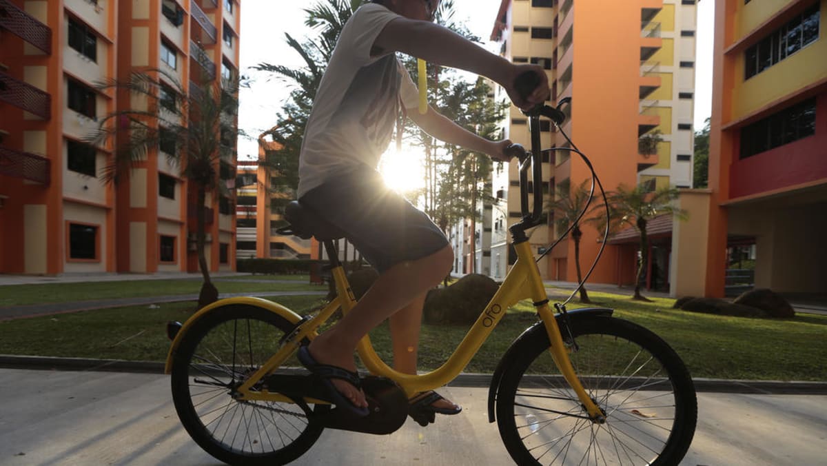 Ofo monthly pass hot sale