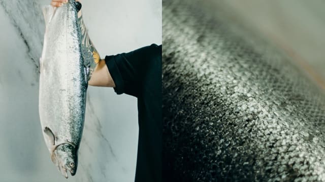 健康食材的震撼！爱吃鱼会增加罹患皮肤癌风险?
