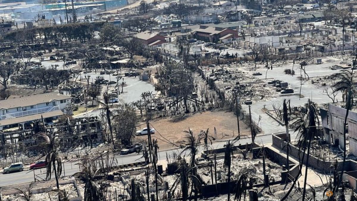 How did the Maui fire start? Why Hawaii’s power lines are suspect The