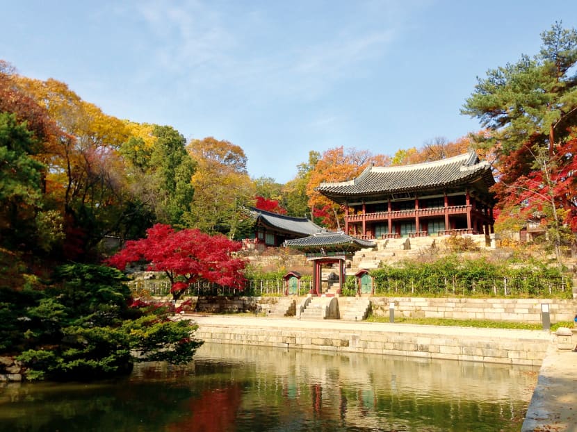 Seoul’s Autumn Splendour
    
    
      PRO TIP
    
    
      Korea is beautiful all four seasons, but it’s the fiery autumn that shows the city at its finest
