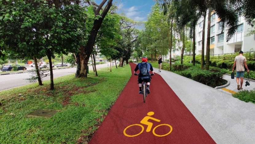 New bike lanes sale