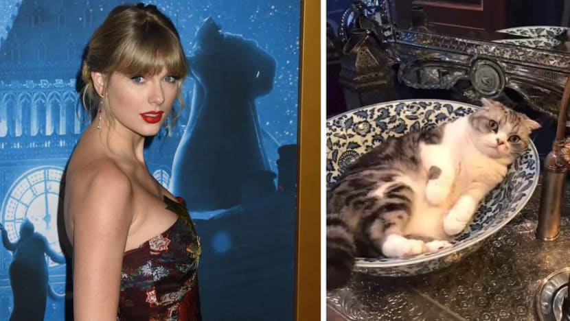 Taylor Swift Explains Why Her Cat Meredith Grey Hasn’t Been Seen Lately: “She’s Just Really Private”