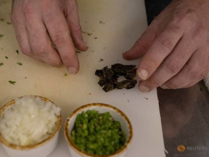 Guess who's coming to dinner? Virginia chef serves up tasty cicada tacos Guess who's coming to dinner? Virginia chef serves up tasty cicada tacos