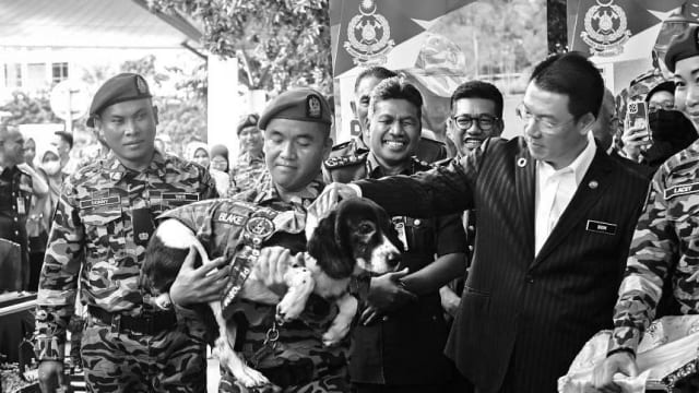 马国峇冬加里土崩搜救犬 患癌救治无效进行安乐死