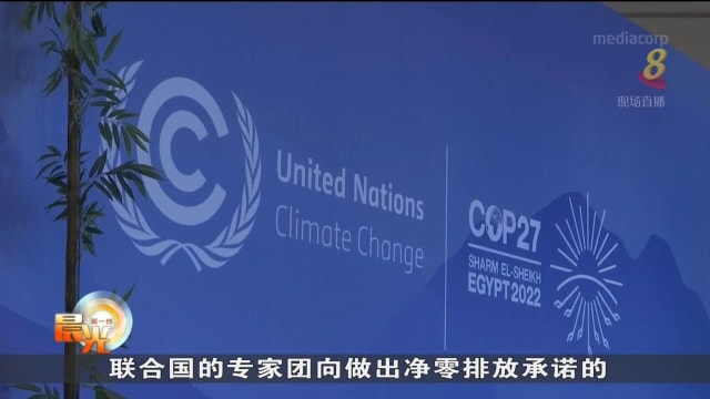 气候大会：联合国促更严格标准 防止企业虚假净零排承诺