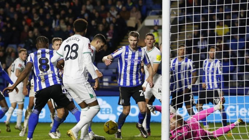 Newcastle shocked by third tier Sheffield Wednesday CNA