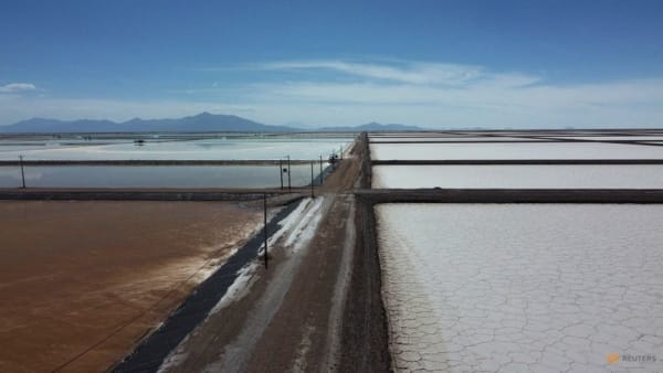 China's CBC increases stake in Bolivia lithium mining - Vimarsana News