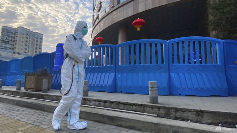 China calls COVID-19 'lab leak' theory a lie after WHO report China calls COVID-19 'lab leak' theory a lie after WHO report