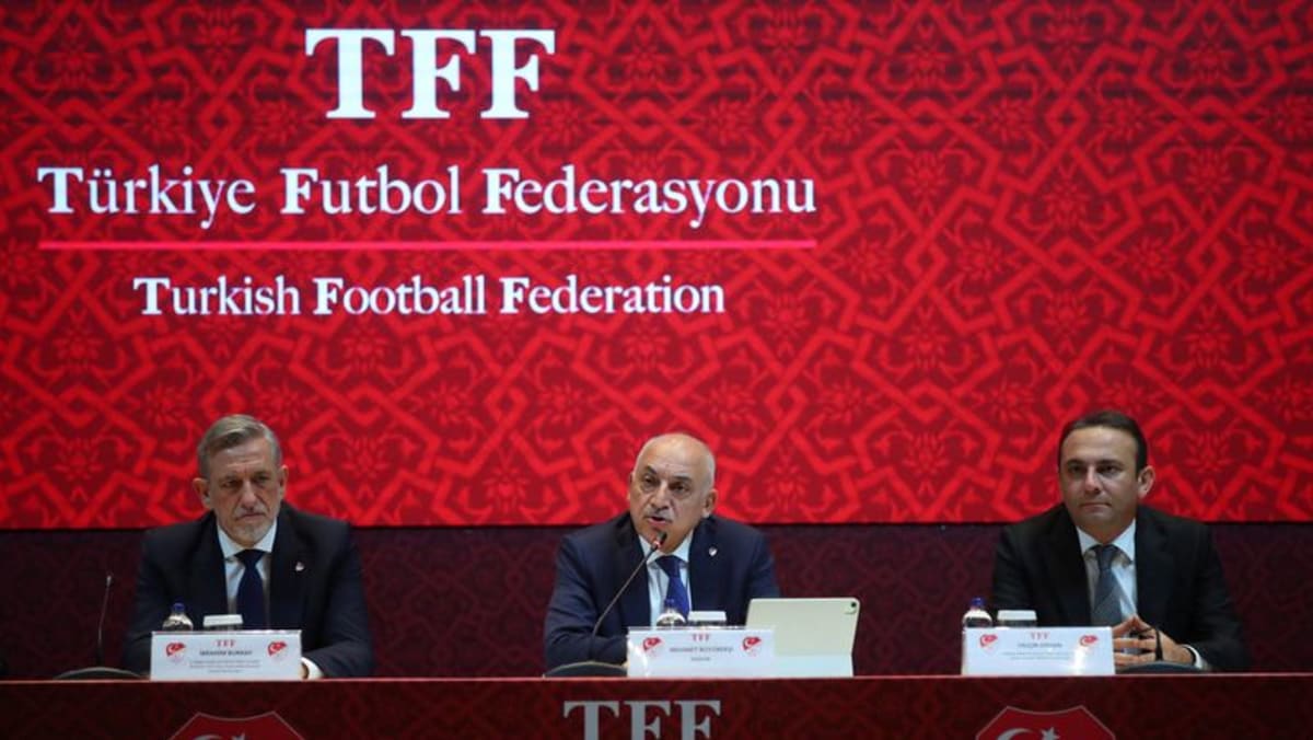 Turkish club chief’s attack on referee sparks call for government action