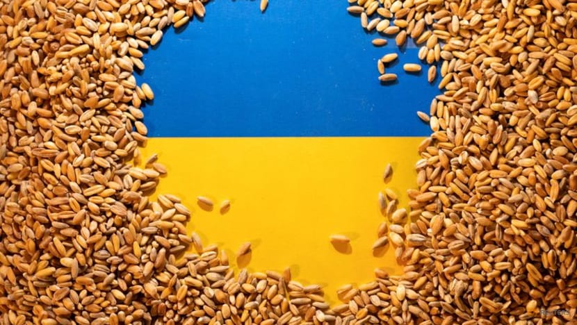 Turkey says Ukraine grain ships could avoid mines, Russia offers safe passage Turkey says Ukraine grain ships could avoid mines, Russia offers safe passage