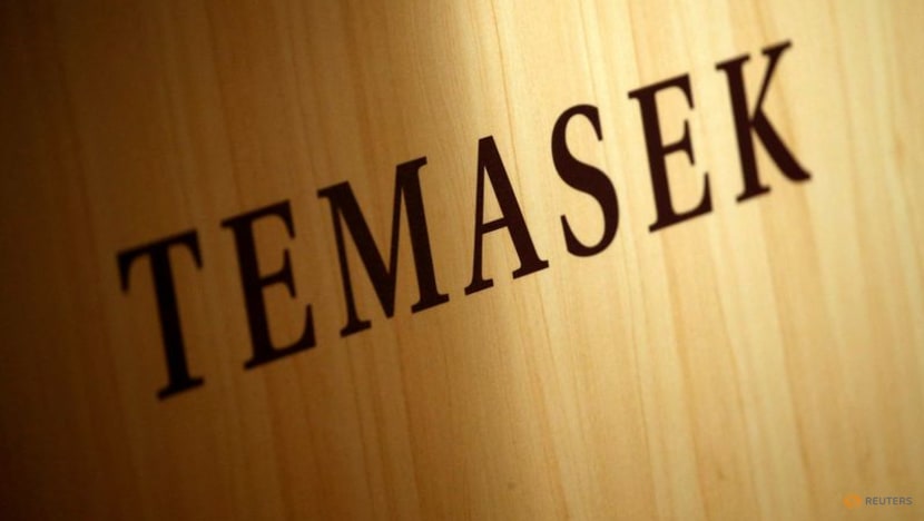 Votorantim and Temasek launch US$700 million fund to invest in Brazil Votorantim and Temasek launch US$700 million fund to invest in Brazil