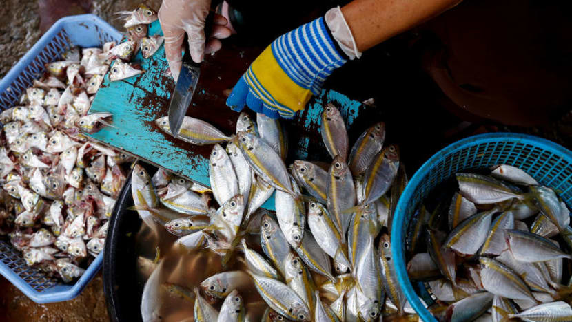 Trump hits Thai seafood industry over worker rights
