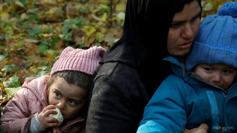 Poland backs sanctions on airlines transporting migrants to Belarus Poland backs sanctions on airlines transporting migrants to Belarus
