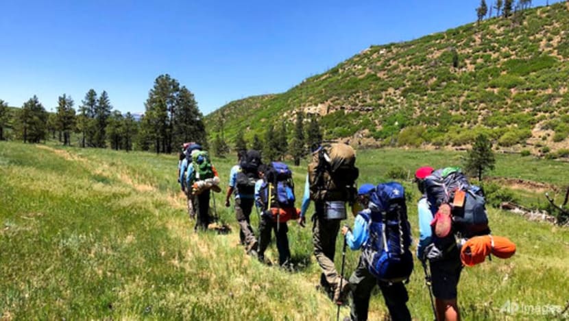 Boy Scouts, Girl Scouts suffer huge declines in membership Boy Scouts, Girl Scouts suffer huge declines in membership