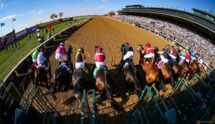 Horse racing-Implementation of anti-doping program for racehorses in US delayed